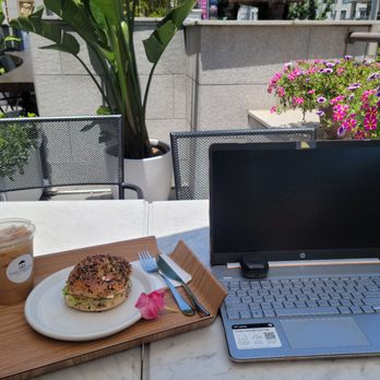 Cafe Terrasse - Avocado bagel and Ico Latte - Breakfast & Brunch Near Me - Los Angeles, California Cafe Terrasse - Avocado bagel and Ico Latte - Breakfast & Brunch Near Me - Los Angeles, California