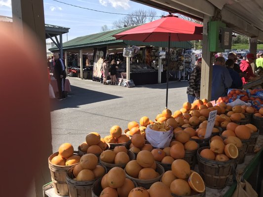 The Green Dragon Market by null