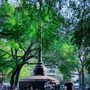 Photo of Union Square