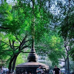 Union Square - Interior of park
