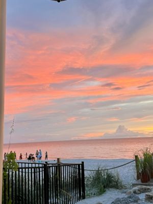 The Turtle Club by null