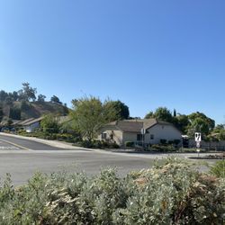 My front yard