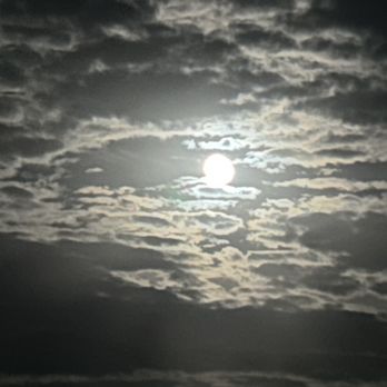 Pancho Villas State Park - Exterior: brilliant full super "blue" Moon - Parks Near Me - Columbus, New Mexico