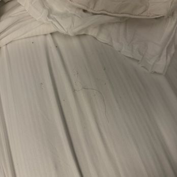 DoubleTree by Hilton - Dirty sheets. Hair is on the bed. - Hotels Near Me - Orlando, Florida DoubleTree by Hilton - Dirty sheets. Hair is on the bed. - Hotels Near Me - Orlando, Florida