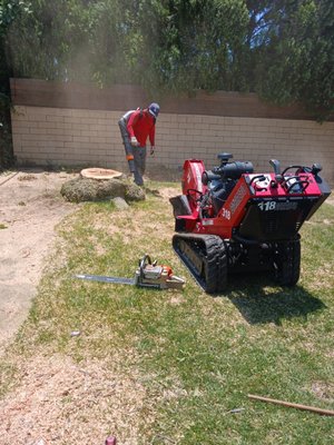 Tree Removal - Whether we are removing a tree and trimming it back we will get the job done quickly and cleanly. Tree Removal - Whether we are removing a tree and trimming it back we will get the job done quickly and cleanly.
