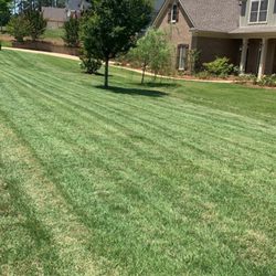 1 Stop Lawn Care