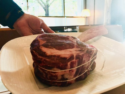 CUT at 45 Park Lane by null