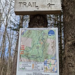Mt Pisgah Conservation Area