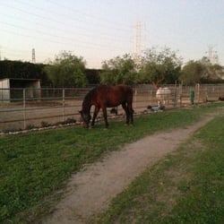 L Bar S Ranch - Munching our way home.