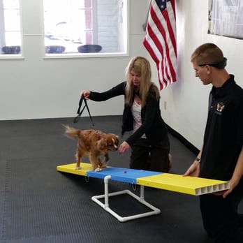 Alpha K9 Academy - Let's go Buster! We will help - Pet Training Near Me - Visalia, California