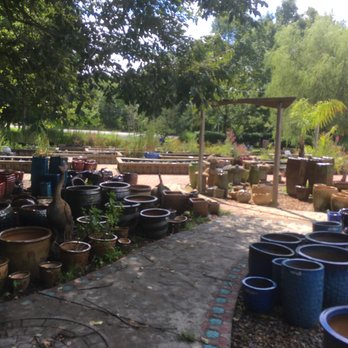 Tropic Bay Water Gardens - I wet my plants! - Aquarium Services Near Me - Davidsonville, Maryland Tropic Bay Water Gardens - I wet my plants! - Aquarium Services Near Me - Davidsonville, Maryland