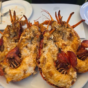 Playa Delfin - $40.00 for one medium size lobster. We got 2. - Seafood Near Me - Puerto Nuevo, BCN