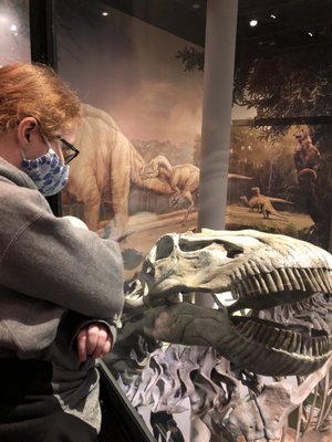 Sam Noble Oklahoma Museum of Natural History by null