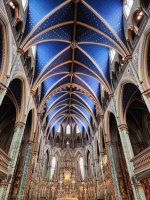 Notre Dame Cathedral Basilica by null