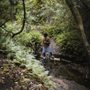 Photo of Bulls Bay Preserve