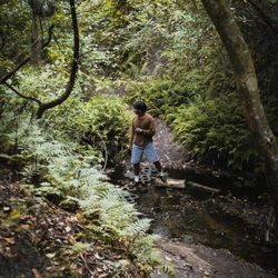 Bulls Bay Preserve - Trail that leads to the small waterfall