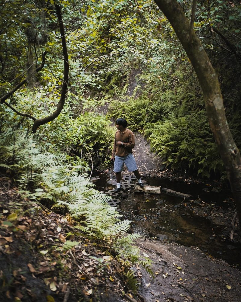 Bulls Bay Preserve Image