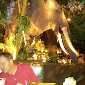 Rainforest Cafe - It's strange eating with an elephant - American Near Me - San Antonio, Texas Rainforest Cafe - It's strange eating with an elephant - American Near Me - San Antonio, Texas