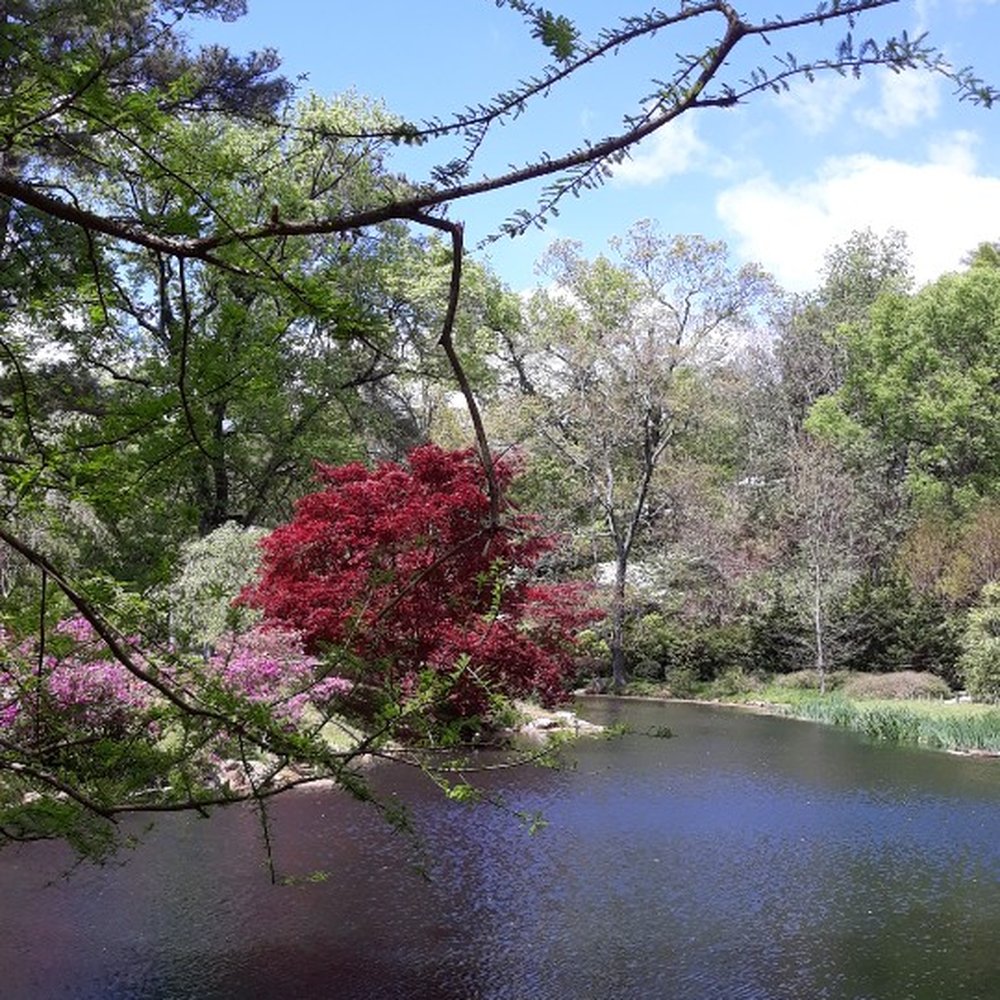 Maymont - . - Parks Near Me - Richmond, Virginia Maymont - . - Parks Near Me - Richmond, Virginia