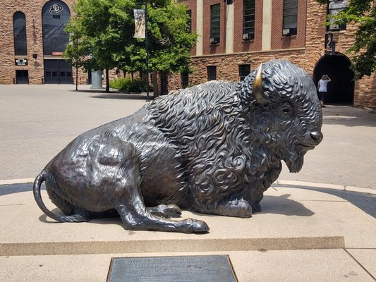 University of Colorado Boulder by null