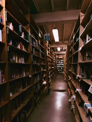 Powell's Books on Hawthorne by null