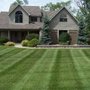 Photo of Ramirez Turf Management
