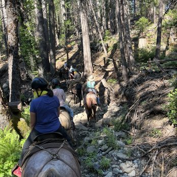 Yosemite Trails Horseback Adventures - The trail - Horseback Riding Near Me - Fish Camp, California Yosemite Trails Horseback Adventures - The trail - Horseback Riding Near Me - Fish Camp, California