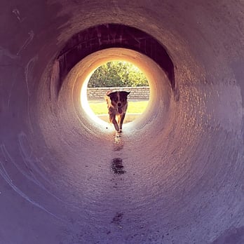 LA River Bike Path - Tunnels and landscaping all over - Parks Near Me
