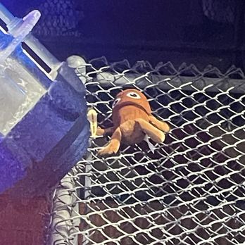 Six Flags Over Texas - We found a tung tung tung sahur plushie in the line for Mr freeze! Lol - Amusement Parks Near Me - Arlington, Texas
