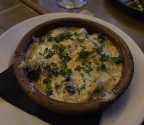 P'tit Plateau / little plateau by null