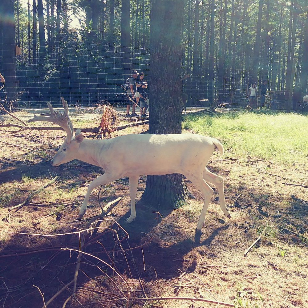 Shalom Wildlife Sanctuary - Parks Near Me - West Bend, Wisconsin
