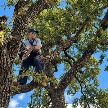 Dustin's Tree Care - Tree Services Near Me Dustin's Tree Care - Tree Services Near Me