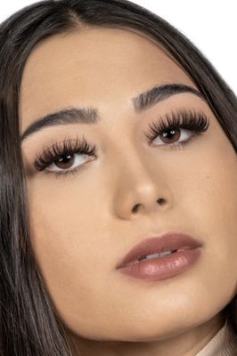 The Lash & Sugar Company