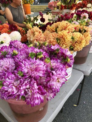 Lake City Farmers Market by null