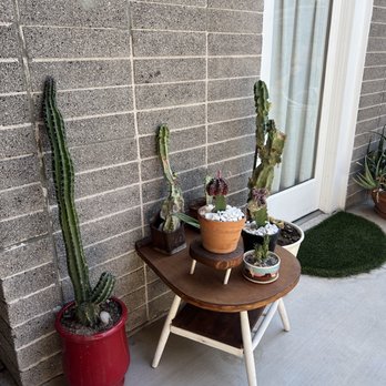 Window Coffee Bar - Coffee & Tea Near Me - Phoenix, Arizona