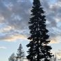 Photo of Trout Creek Motel & RV Park