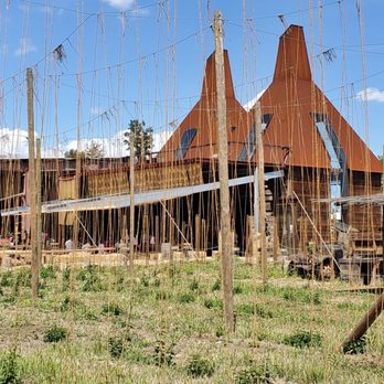 Ruhstaller Farm - Lines strung to grow hops as you walk in. - Breweries Near Me - Dixon, California Ruhstaller Farm - Lines strung to grow hops as you walk in. - Breweries Near Me - Dixon, California