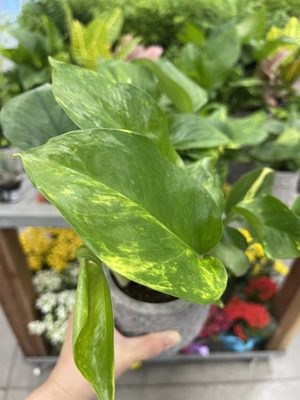 The Home Depot by null