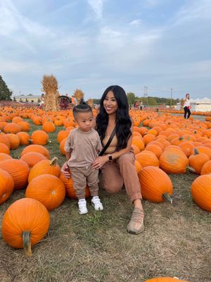 Bengtson's Pumpkin Farm and Fall Fest by null
