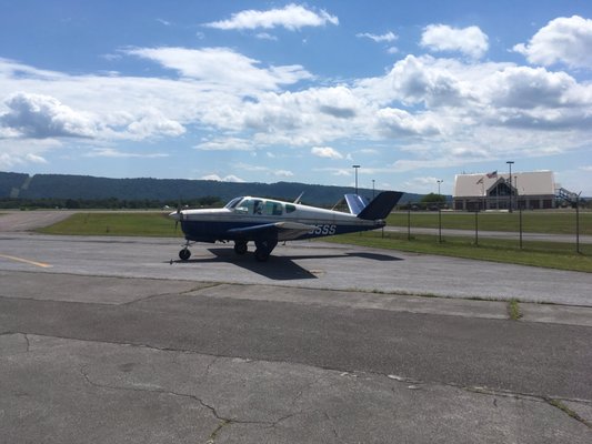 The Hummingbird Cafe by null