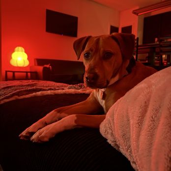 Miami Preserve - Pet friendly - University Housing Near Me - Oxford, Ohio