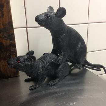 Don't mind them. They just hang out by the kitchen and welcome guests.