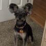 Harrison Animal Hosp