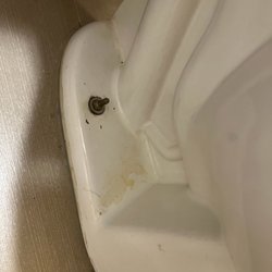 Comfort Inn Bessemer Birmingham South - Urine on toilet