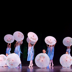 Atlanta Professional Dance Academy