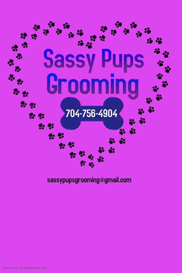 SASSY PUPS GROOMING Updated October 2024 1017 W Catawba Ave, Mount
