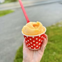 Blanchard's Creamery Homemade Ice Cream and Coffee Shop - Mango sorbet