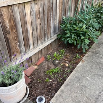 Sterling Tree Care & Gardening - Side of back yard before work. - Tree Services Near Me Sterling Tree Care & Gardening - Side of back yard before work. - Tree Services Near Me