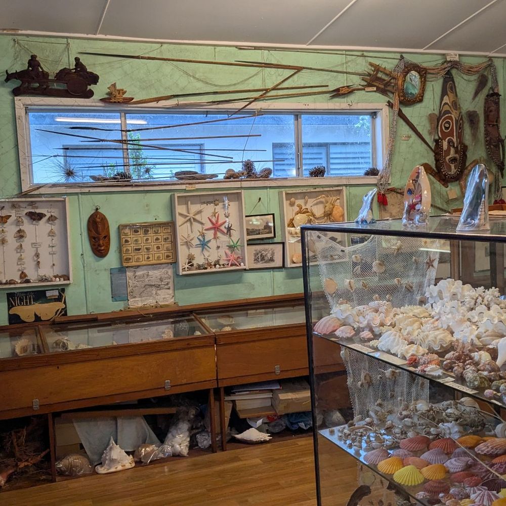 Port Stephens Shell Museum - Museums Near Me - Corlette, NSW