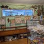 Port Stephens Shell Museum
